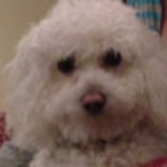 Meet your Posher, Kim - Picture 1 of 1